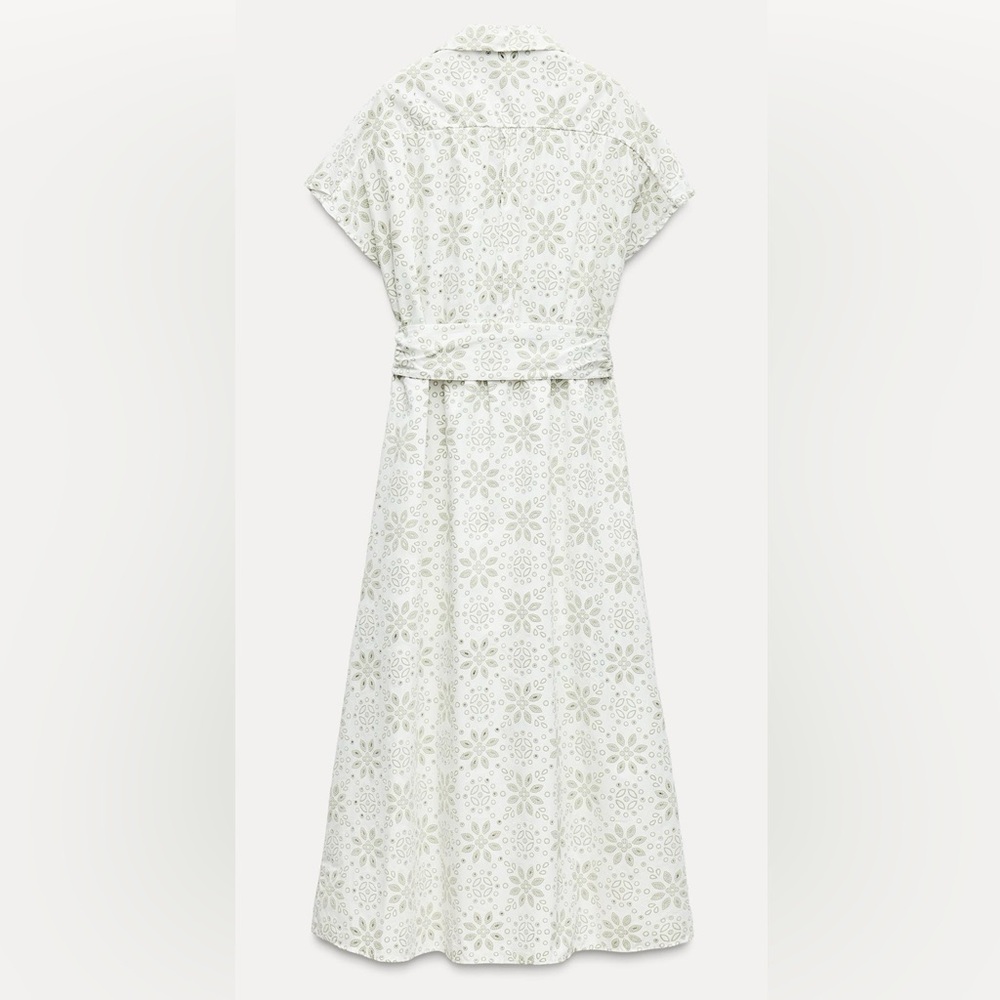 Zara Rubberized Embroidery Midi Dress - Picture 7 of 11